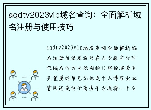 aqdtv2023vip域名查询：全面解析域名注册与使用技巧